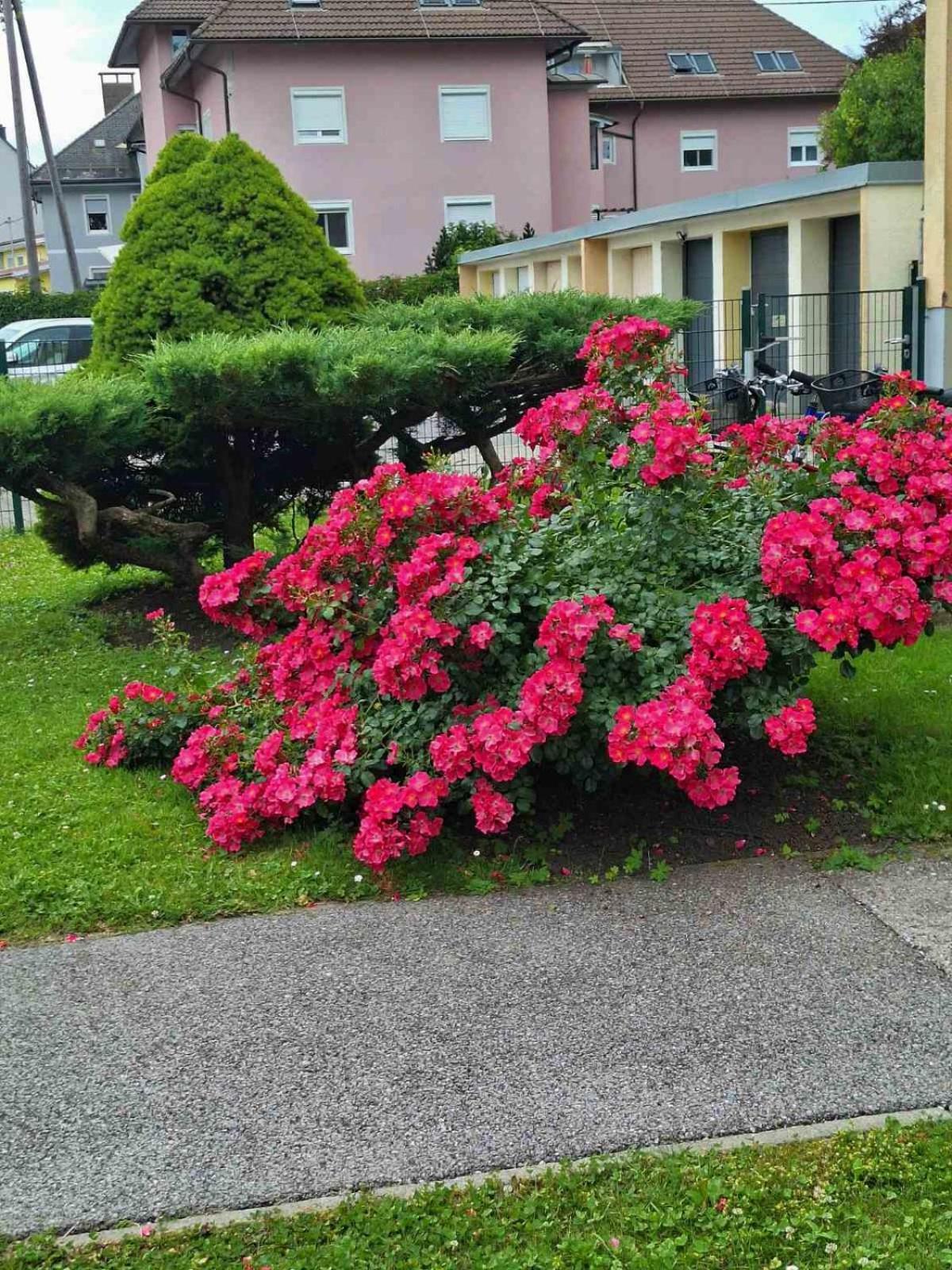 La Vida Appartment 1 Klagenfurt am Woerthersee ภายนอก รูปภาพ